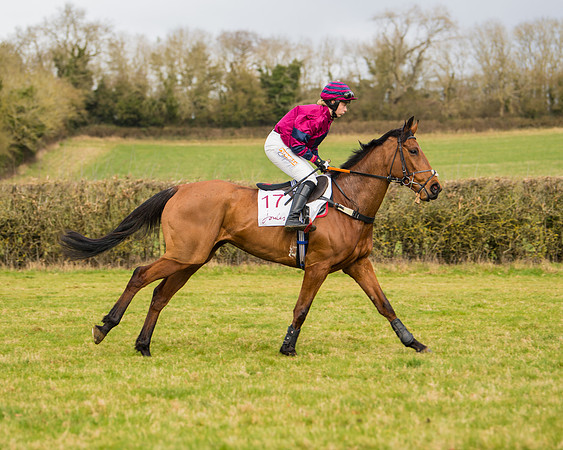 Race 2 - Open Maiden (34 of 128)