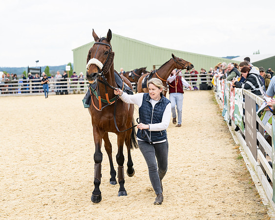Race 2 - 2M4F Conditions (9 of 195)