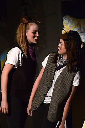 Wind in the Willows - Act-2  134