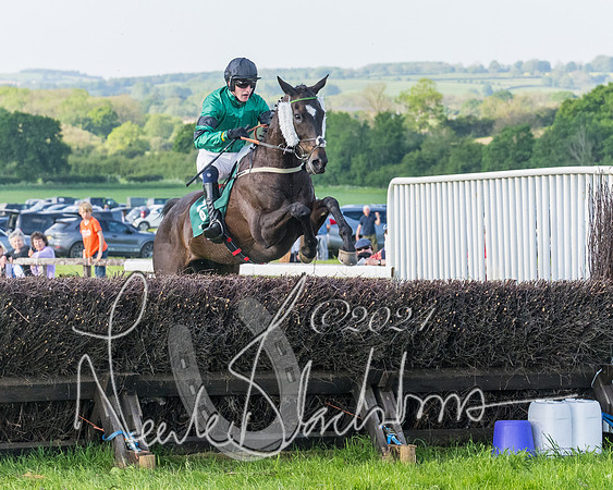 Race 7 - Veteran Horse (147 of 246)