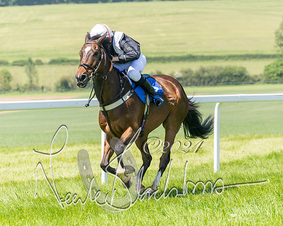 Pony Races  (102 of 141)
