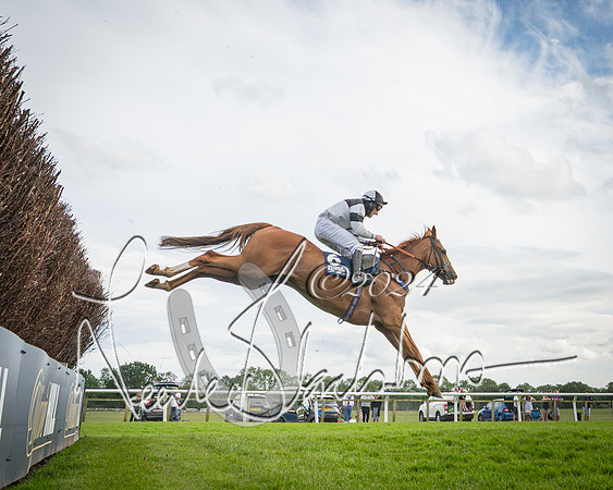 Race 1 - Pointing Pointers Restricted Final (63 of 79)