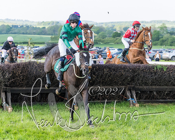 Race 7 - Veteran Horse (32 of 246)