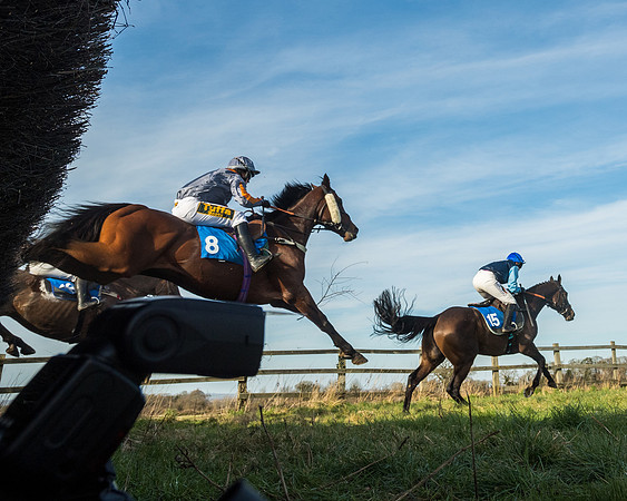 Race 5 - Restricted (47 of 146)