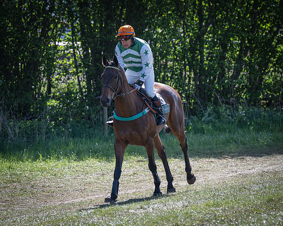 Race 5 - F N Pile and Sons PPORA Novice Riders (21 of 151)