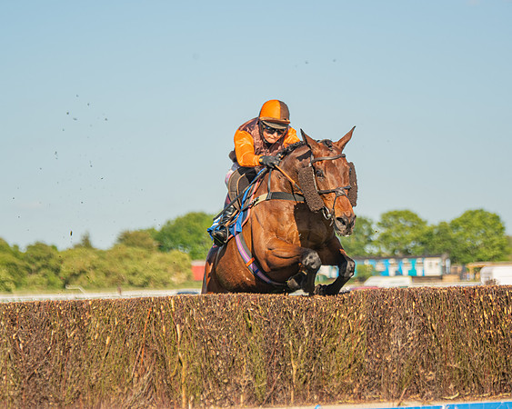Race 2 - Nimrod Ladies Open (48 of 82)