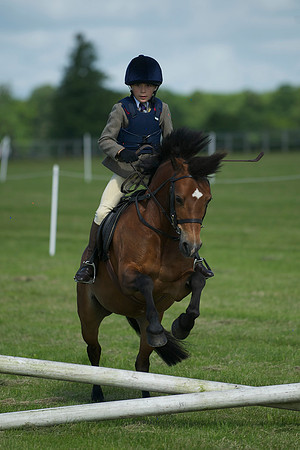 SOHS PC Summer Show at BCA 17th June 2012