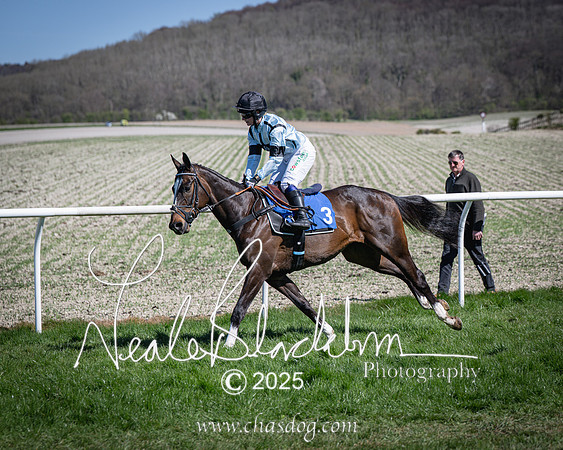 Race 2 - The Maiden (31 of 118)