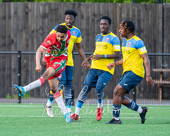 Windsor v Langley (9 of 235)