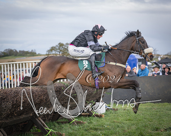 Race 3 - 5 years old and Over Maiden Race (64 of 130)