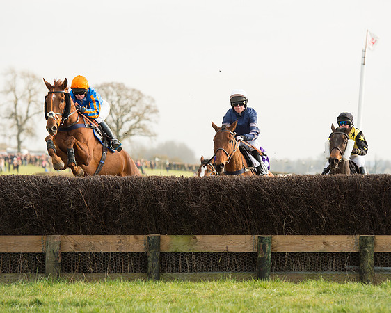 Race 6 - Open Maiden Race (46 of 99).jpg