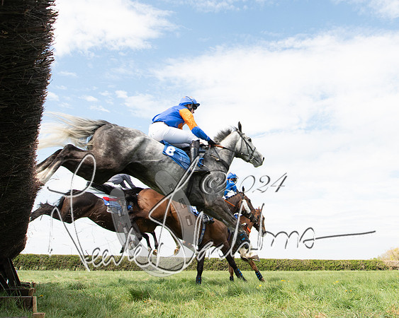 Race 2 - The Elliott of London maiden race (45 of 137)