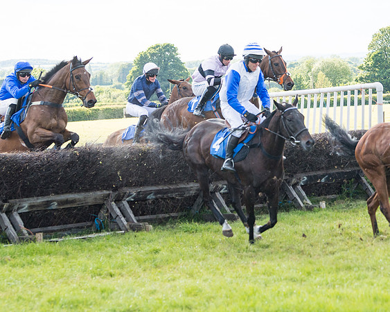 Race 6 - Open Maiden (101 of 227)
