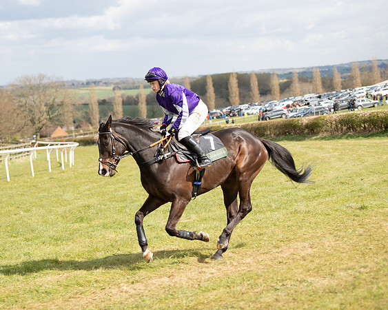 Race 2 - Young Horse Maiden (23 of 104)