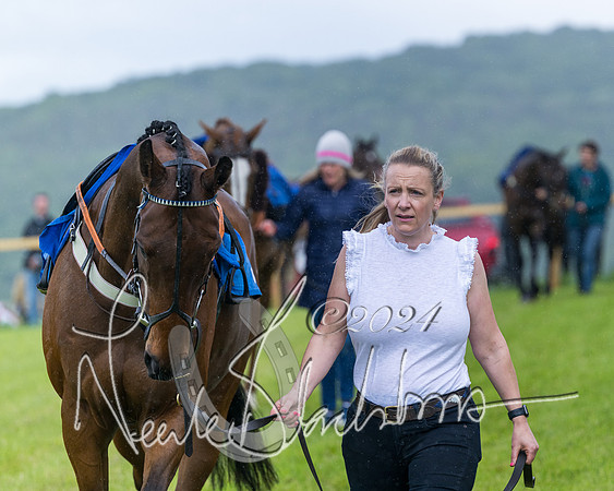 Race 1 - Owner-Trainer Conditions  (19 of 392)