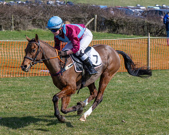 Pony Race 2 - 138cm (45 of 65)
