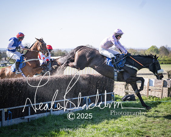 Race 6 - Veteran horse (96 of 109)