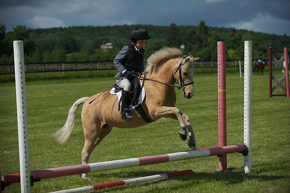 SOHS PC Summer Show at BCA 17th June 2012