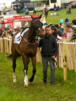 Old Berks at Lockinge Open Maiden