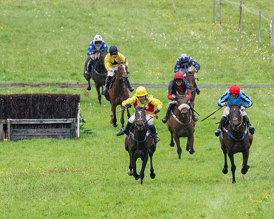 Race 8 - Bumper Div 2 (31 of 84)