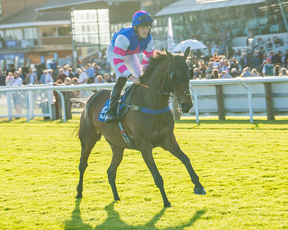 Race 5 - White Swan Hotel Handicap (10 of 80)