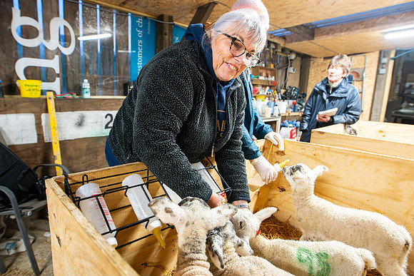 Lambing (43 of 111)