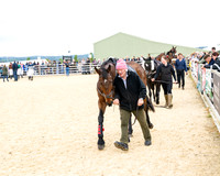 Race 2 - 2M4F Conditions (2 of 195)