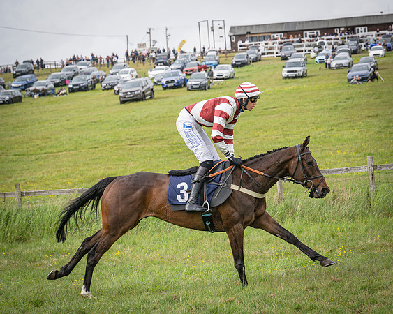 Race 6 - 2M4F Maiden (30 of 85)