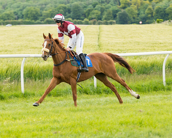 Race 1 - Owner Trainer Conditions  (36 of 133)