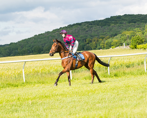 Race 6 - Open Maiden (35 of 227)