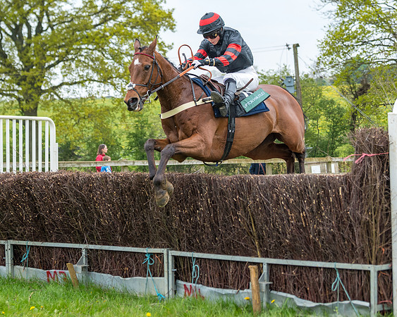 Race 2 - Jockey Club ROR veteran Horse (74 of 104)