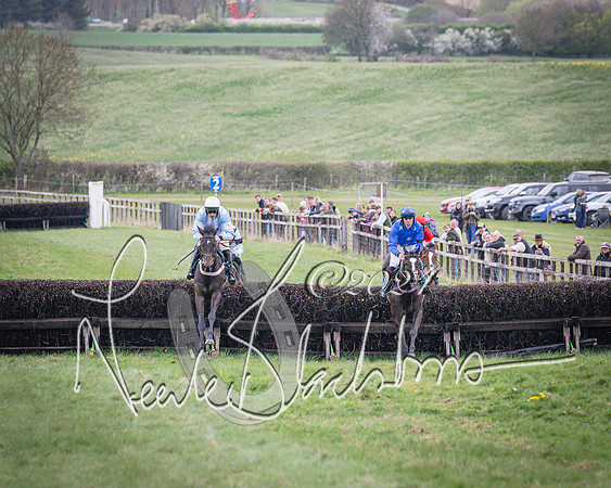 Race 2 - Tattersalls Cheltenham 4 year old Maiden (35 of 85)