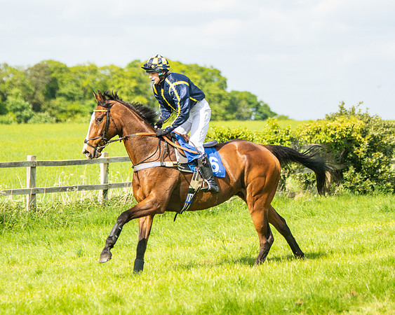 Race 4 - Ladies Open  (9 of 79)