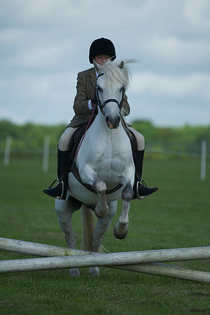 SOHS PC Summer Show at BCA 17th June 2012