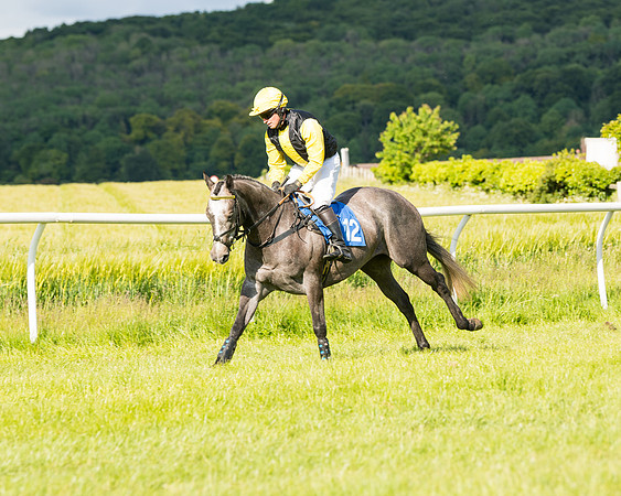 Race 6 - Open Maiden (78 of 227)