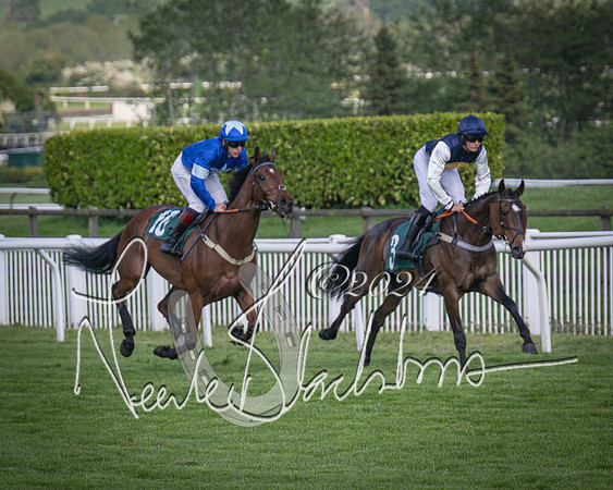 Race 2 - The Venatour sports travel intermediate point to point hunters’ steeplechase 5 year olds and over 3m2f (31 of 163)