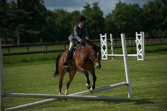 SOHS PC Summer Show at BCA 17th June 2012
