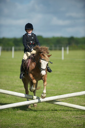 SOHS PC Summer Show at BCA 17th June 2012