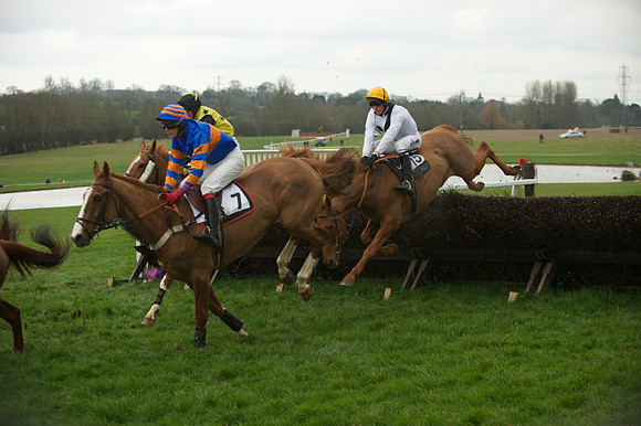 Race 5 - 25