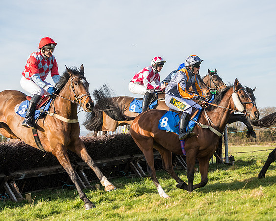 Race 5 - Restricted (32 of 146)