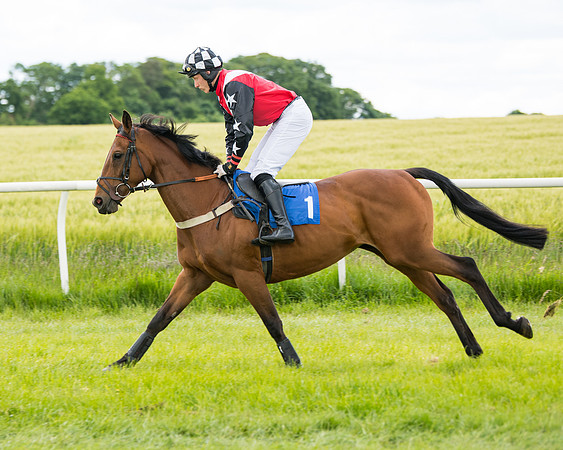 Race 1 - Owner Trainer Conditions  (43 of 133)