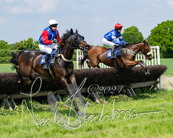 RAce 1 - Conditionsn [Level 2] (113 of 219)
