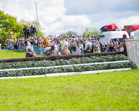 Race 4 -  2M4F Conditions  (69 of 102)