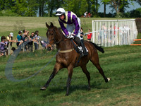 picture-8