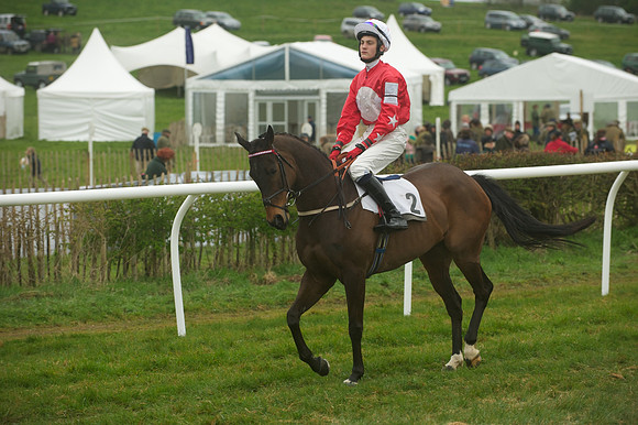 Race 8 - Pony Race 2 -  14