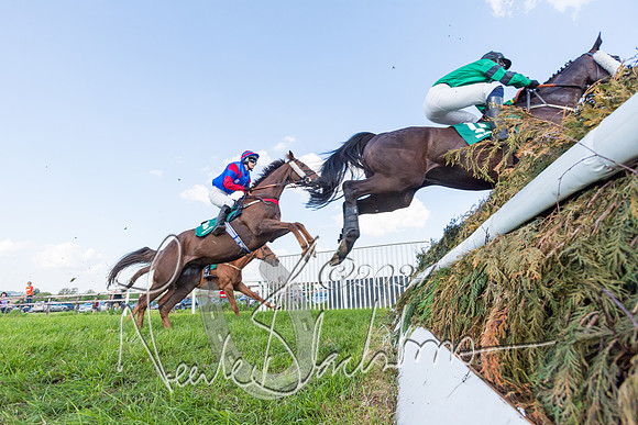 Race 7 - Veteran Horse (18 of 246)