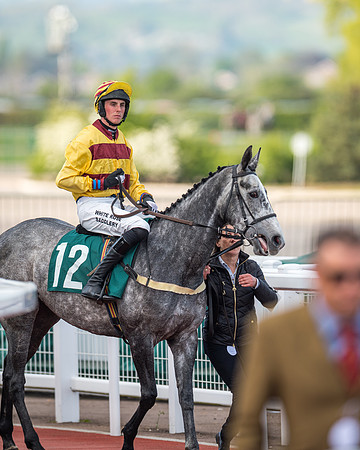 Race 2  -  Intermediate Point to Point Hunters' Steeple Chase (50 of 277)