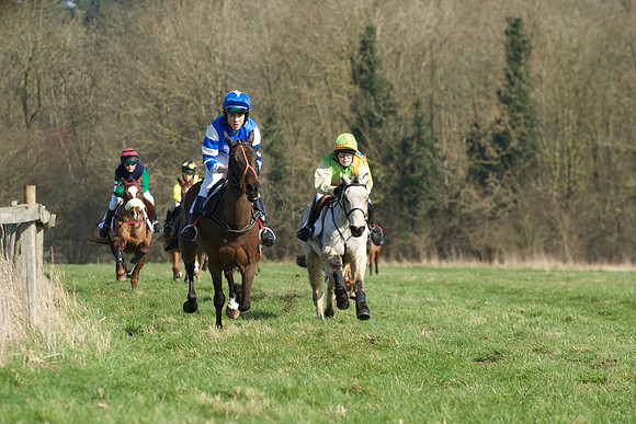 Pony Races -  20