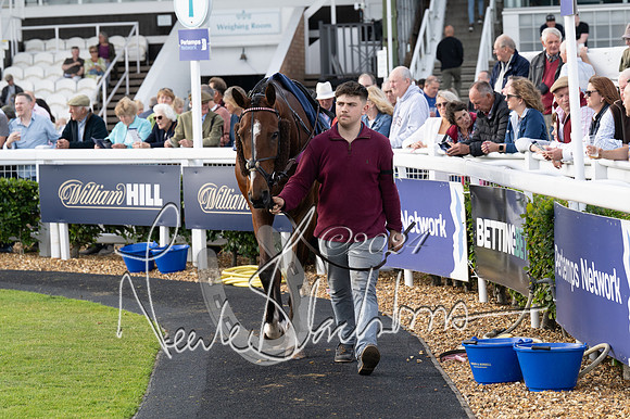 Race 3 - The pointtopoint.co.uk champion novices’ Hunter Chase (31 of 140)