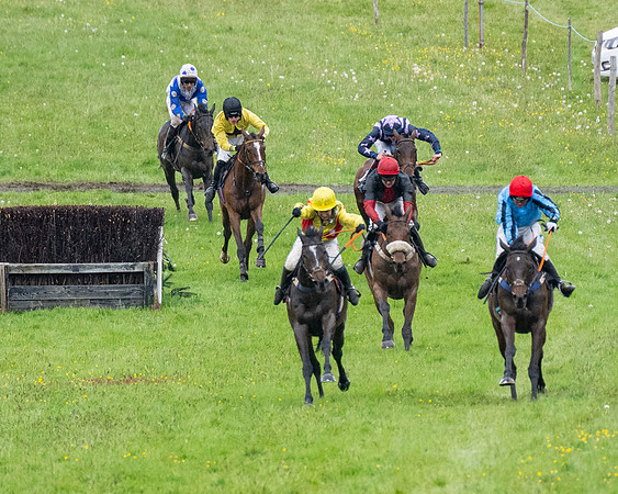Race 8 - Bumper Div 2 (30 of 84)